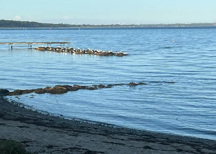 Сasa de vacaciones Log With Sea View At Bro *